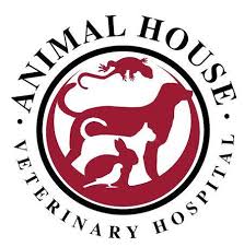 LazyPawDirectory - Animal House Veterinary Hospital