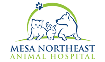 LazyPawDirectory - Mesa Northeast Animal Hospital