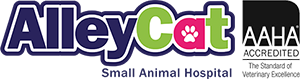 LazyPawDirectory- AlleyCat Small Animal Hospital