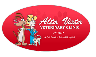 LazyPawDirectory - Alta Vista Veterinary Clinic