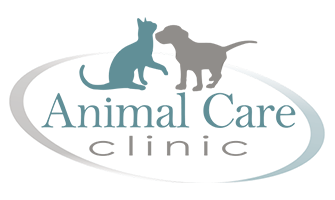 LazyPawDirectory - Animal Care Clinic