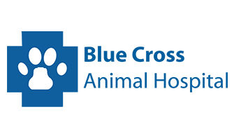 LazyPawDirectory - Blue Cross Veterinary Hospital