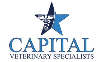 LazyPawDirectory - Capital Veterinary Specialists