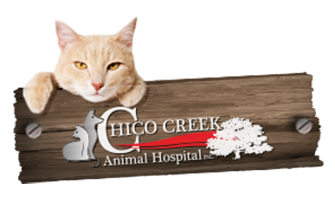 LazyPawDirectory - Chico Creek Animal Hospital
