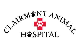 LazyPawDirectory - Clairmont Animal Hospital