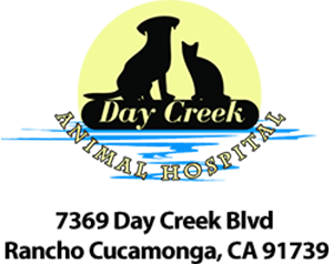 LazyPawDirectory - Day Creek Animal Hospital