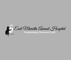 LazyPawDirectory - East Marietta Animal Hospital