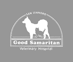 LazyPawDirectory - Good Samaritan Veterinary Hospital