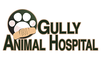 gully animal hospital near me