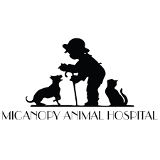 LazyPawDirectory - Micanopy Animal Hospital