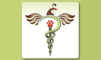 LazyPawDirectory - Partridge Animal Hospital