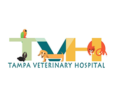 LazyPawDirectory - Tampa Veterinary Hospital