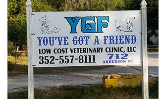 LazyPawDirectory - YGF Low Cost Vet