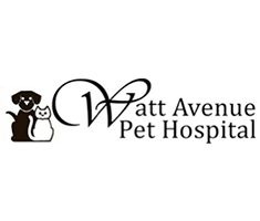LazyPawDirectory- Watt Avenue Pet Hospital