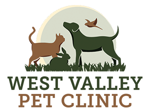 LazyPawDirectory - West Valley Pet Clinic